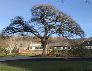 RHS Harlow Carr