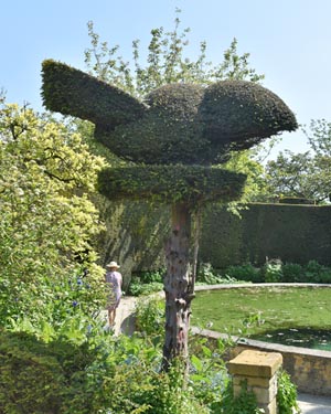Yew topiary