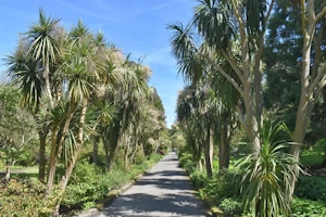 Ventnor Botanic Garden