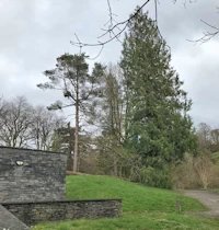 Grizedale Visitor Centre