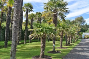 Logan Botanic Garden