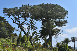 Isles of Scilly