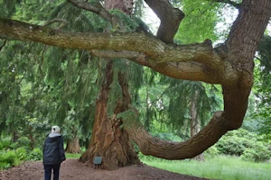 Scone Palace, Perthshire