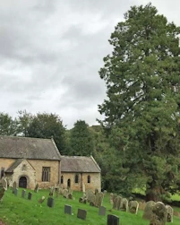 Ebberston church Sequoia