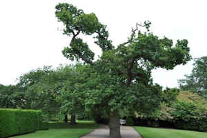 Beningbrough Hall