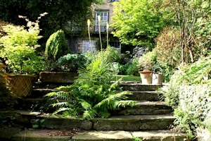 Garden talk