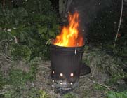burning box blight