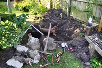 Clearing tree stump