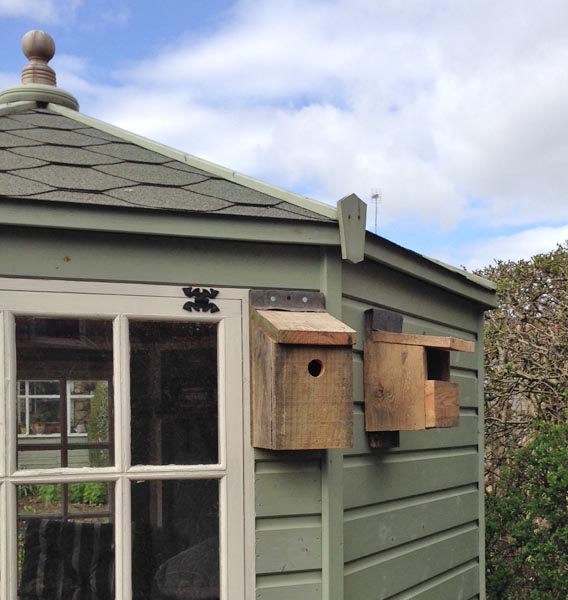 Bird boxes