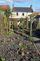 Topsoil