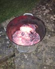 Burning infected wood