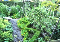 Zig zag box hedging
