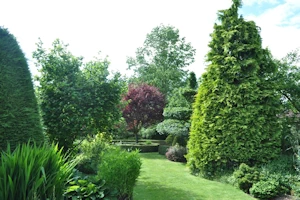 Clipped trees and shrubs